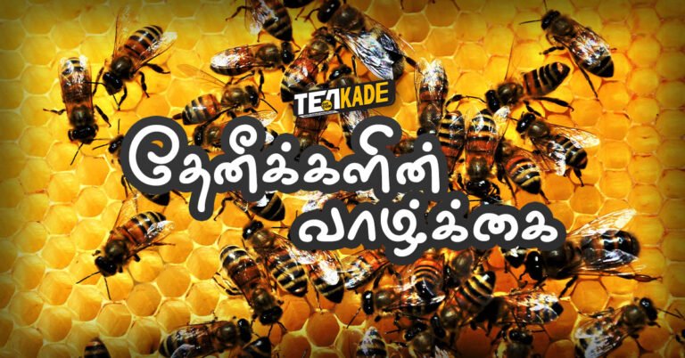 Read more about the article ஒருத்தேக்கரண்டி தேனும், தேனீயின் வாழ்க்கையும் ​
