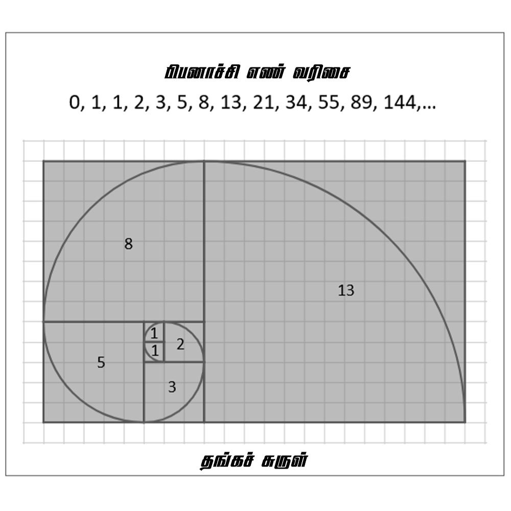 Fibonacci Numbers Tamil