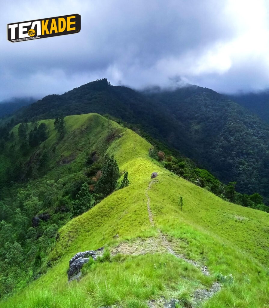 வங்கெடி கல மலை